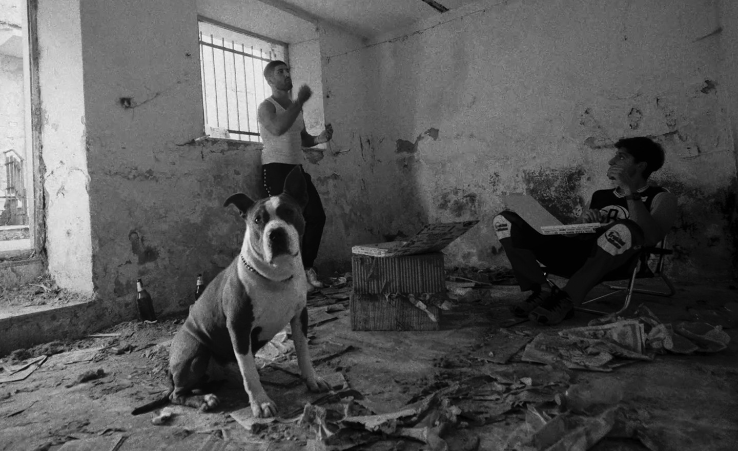 MONDOCANE / TEASER